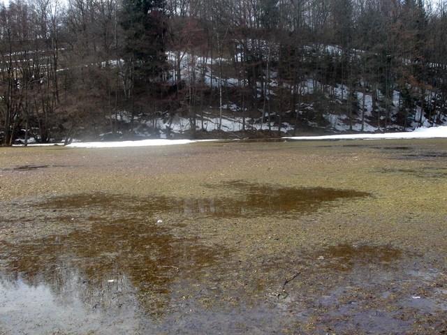 01 Hauptfeld 06