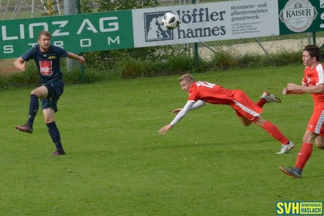 03 Fuchs 18