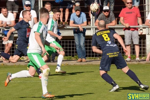 19 Haselgrübler Binder 19