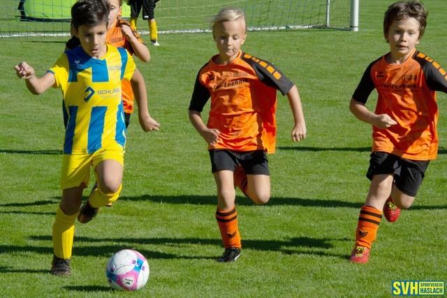 14 U8Agelb U8Borange 20