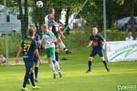 12 Leitner Engleder Spindelböck 18