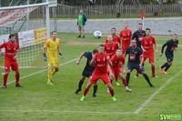 12 Radinger Engleder Schauer Feldler 20