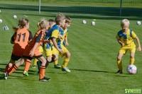 16 U8Agelb U8Borange 20