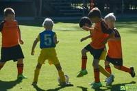 22 U8Agelb U8Borange 20