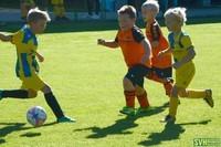 24 U8Agelb U8Borange 20