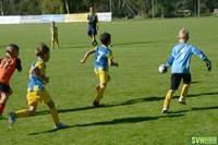 25 U8Agelb U8Borange 20