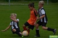 23 Turnier U9 SVH-Herzogsdorf 18