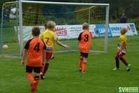 33 Turnier U9 SVH-Walding 18