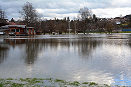 2015_hauptfeld.jpg 2015_hauptfeld.jpg